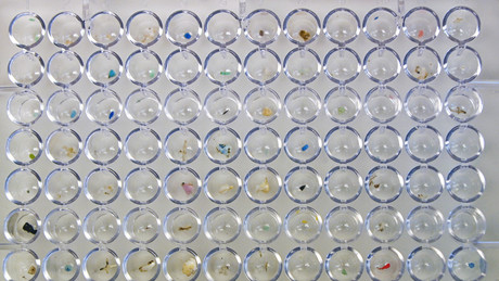 Wie viel Mikroplastik steckt in Ihrem Auto und Teebeutel?