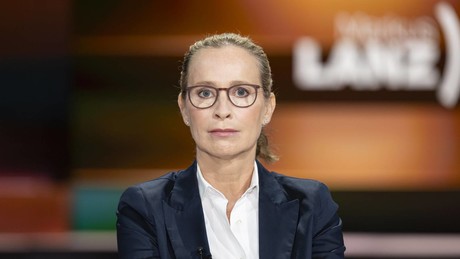 Brosius-Gersdorf verzichtet auf Kandidatur als Verfassungsrichterin