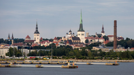 Estland weist ersten Sekretär der russischen Botschaft aus
