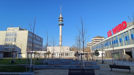 Streit um AfD-Kandidaten – Ludwigshafen und kein Ende ...