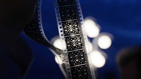 Woody Allen, Emir Kusturica und Mark Dacascos kommen zur Moskauer Filmwoche