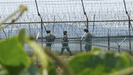 Warnschüsse an Grenze zwischen beiden Koreas