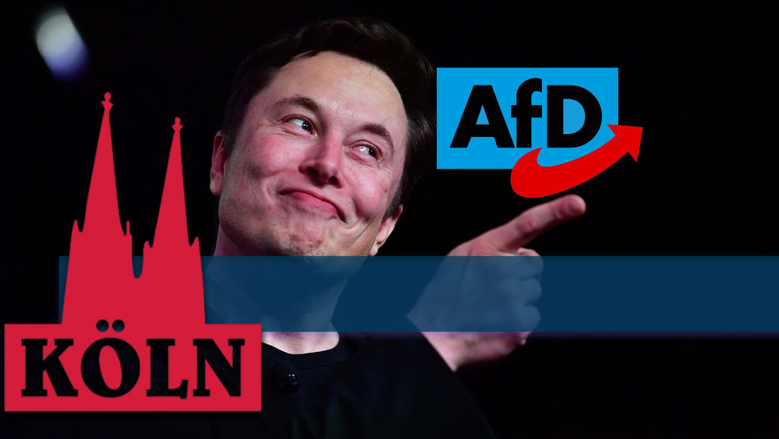 Musk schlägt Alarm: "Nur AfD kann Deutschland retten!"