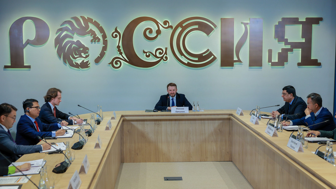 "Investitionen in Verflechtung": Expertensitzung beim Nationalen Zentrum "Russland" (VIDEO)