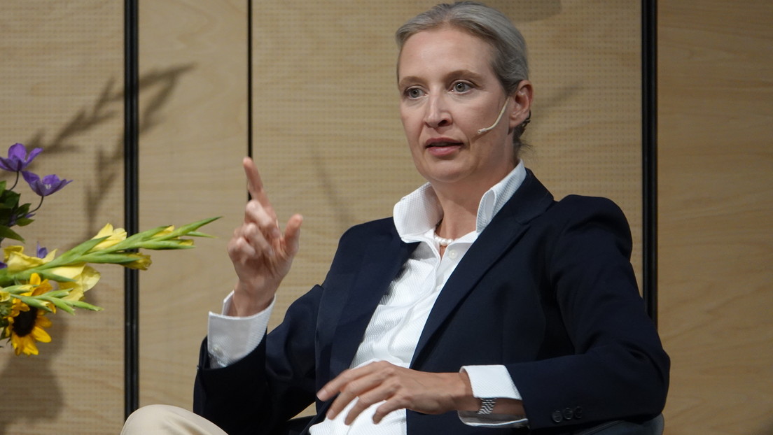 Alice Weidel: "Europa geht es nur gut mit Russland" – Ukraine hat den Krieg bereits verloren
