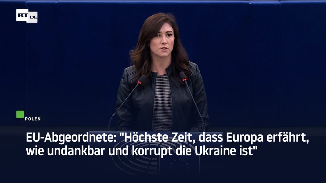 EU-Abgeordnete: "Höchste Zeit, dass Europa erfährt, wie undankbar und korrupt die Ukraine ist"