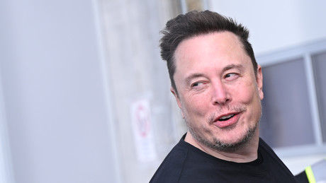 Elon Musks neues E-Auto-Unternehmen soll in Berlin-Köpenick gebaut werden