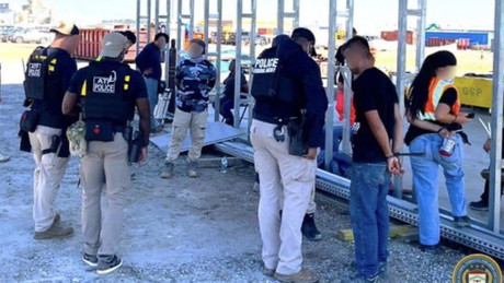 Nach Razzia bei Hyundai in Georgia: Südkorea verurteilt Massenverhaftung seiner Bürger in den USA