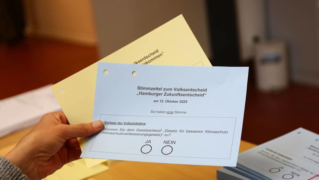 Hamburger Klimaziele: Fridays for Future setzen sich bei Bürgerentscheid durch