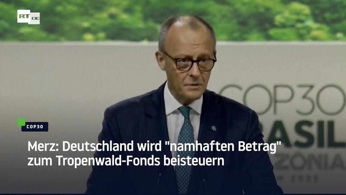 Merz: Deutschland wird "namhaften Betrag" zum Tropenwald-Fonds beisteuern