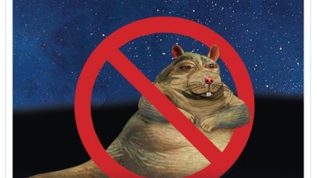 Der tägliche Wahnsinn: "Revolutionäre Idee" – New York "erfindet" Mülltonnen mit Deckeln