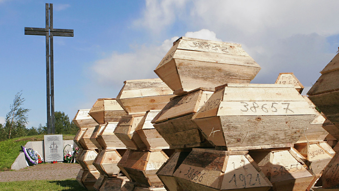 Folgen der Zeitenwende: Kriegsgräberexhumierungen in Russland gehen kontinuierlich zurück