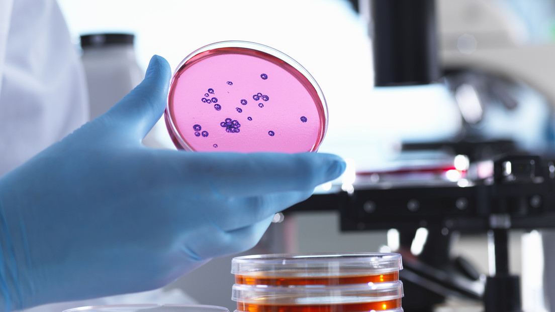 Liveticker Ukraine-Krieg – Bericht: EU von multiresistenten Superbakterien aus der Ukraine bedroht