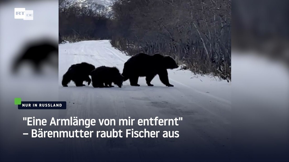 "Eine Armlänge von mir entfernt" – Bärenmutter raubt Fischer aus