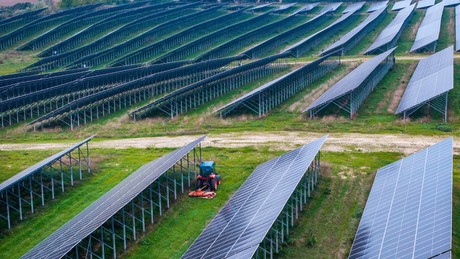 Krisen- und Insolvenzticker: Solar-Riese pleite – Krise in der PV-Branche hält an