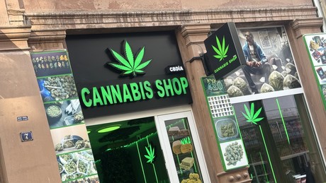 Der tägliche Wahnsinn: Drogenbeauftragte: Cannabis-Legalisierung nicht schuld an steigendem Konsum