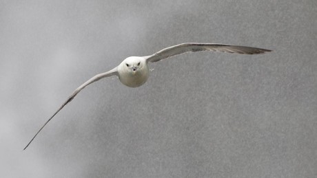 Das Imperium lärmt – Russland antwortet mit Hyperschall