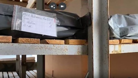 Illegale Exhumierung? Deutsche Botschaft antwortet auf Vorwürfe des FSB