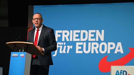 "AfD wird in BRICS als wachsende politische Kraft wahrgenommen" – Jörg Urban zum Sotschi-Besuch