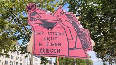 Interview mit jungem Friedensaktivisten – Protestpotenzial gegen Wehrpflicht sehr groß