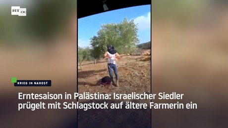 Erntesaison in Palästina: Israelischer Siedler prügelt mit Schlagstock auf ältere Farmerin ein