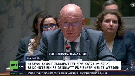 UN billigt Trumps Friedensplan für Gaza – China und Russland enthalten sich
