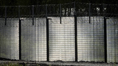 Medien: Finnland baut Zaun nur einen Meter von russischer Grenze entfernt