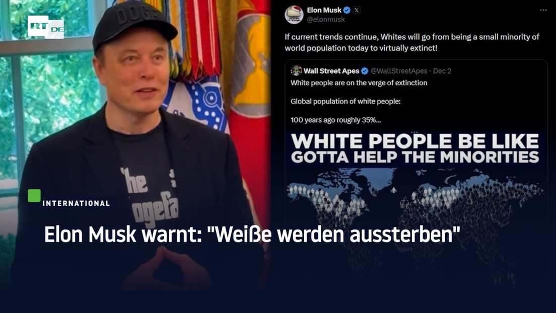 Elon Musk warnt: "Weiße werden aussterben"