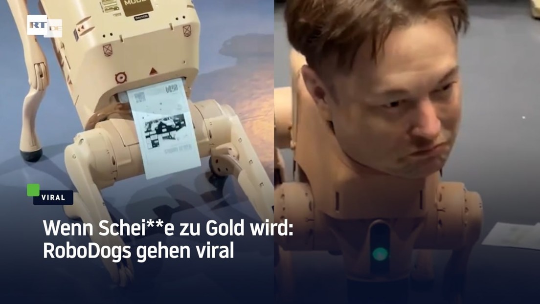 Wenn Schei**e zu Gold wird: RoboDogs gehen viral
