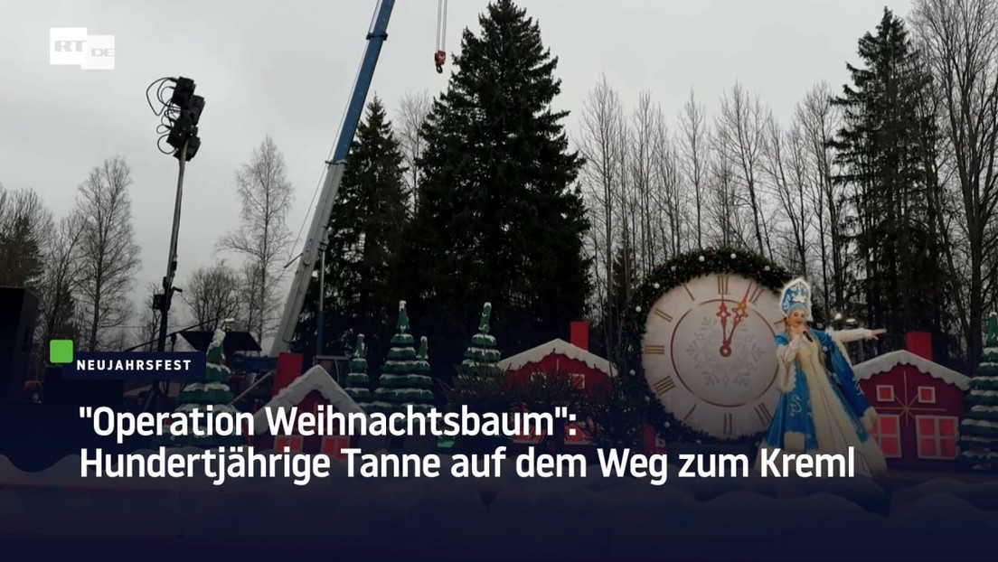 "Operation Weihnachtsbaum": Hundertjährige Tanne auf dem Weg zum Kreml