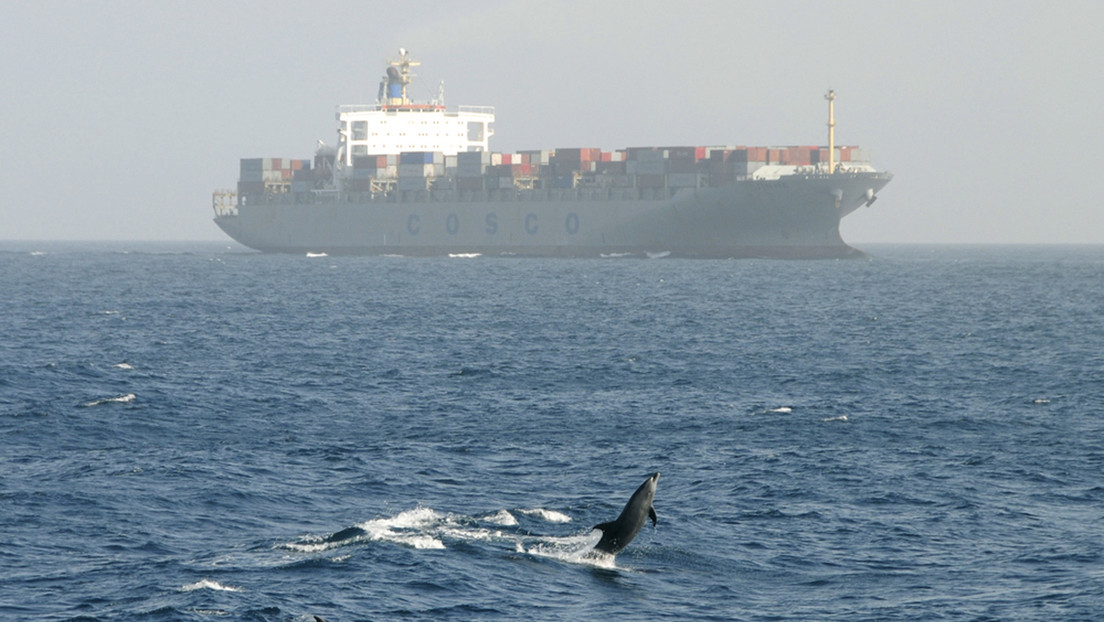 Medienbericht: USA fangen Frachtschiff aus China ab und beschlagnahmen Militärladung für Iran