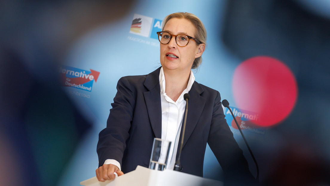 Neue Insa-Umfrage: Die meisten Deutschen wünschen sich Weidel als Kanzlerin