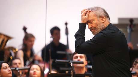 Die Politisierung der Kultur