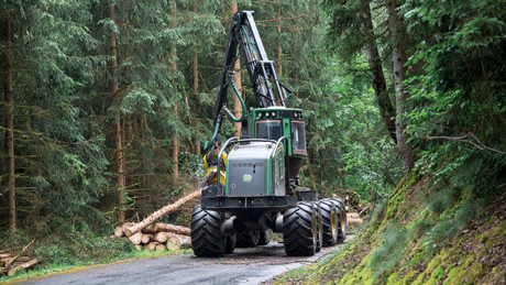 Biomasse-Gesetz: Bundesregierung verbietet mehrere Holzarten zur Verbrennung