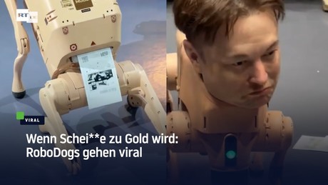 Wenn Schei**e zu Gold wird: RoboDogs gehen viral