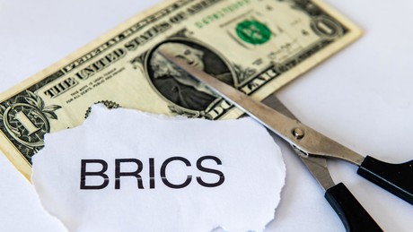 Was ist "The Unit" und warum ist es für die BRICS+ wichtig?