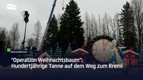 "Operation Weihnachtsbaum": Hundertjährige Tanne auf dem Weg zum Kreml