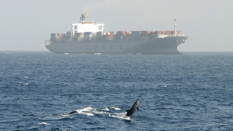 Medienbericht: USA fangen Frachtschiff aus China ab und beschlagnahmen Militärladung für Iran