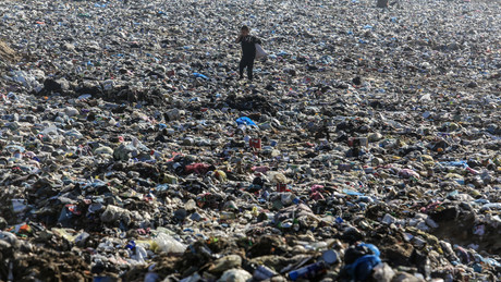 Die vermehren sich noch! – Der "woke" Anti-Antisemitismus-Rassismus deutscher Amtsträger