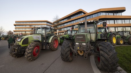 Weihnachten auf der Autobahn: Französische Bauern gegen Abschlachtung ihrer Rinderherden