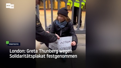 London: Greta Thunberg wegen Solidaritätsplakat festgenommen