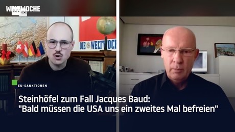 Steinhöfel zum Fall Jacques Baud: "Bald müssen die USA uns ein zweites Mal befreien"
