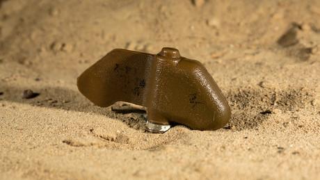 Nun offiziell: Litauen kein Mitglied des Ottawa-Übereinkommens über Antipersonenminen mehr