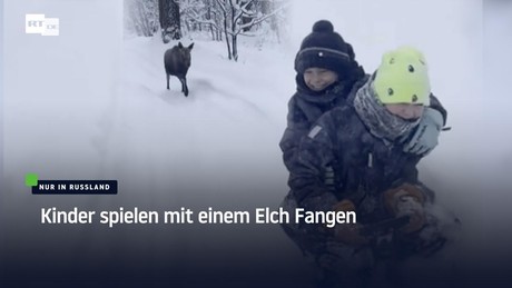 Nur in Russland: Kinder spielen mit einem Elch Fangen
