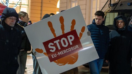 Freihandelszone: EU stimmt für Mercosur-Abkommen