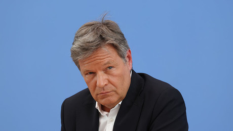 "Globale Erderwärmung hat auch sicherheitspolitische Konsequenzen" – Habeck zur Causa Grönland