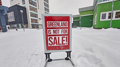 Grönland: Bundeskanzler Merz auf "Appeasement"-Kurs gegenüber US-Präsident Trump