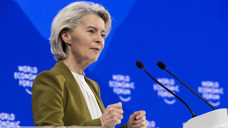 Von der Leyen beim WEF: Neue EU-Sicherheitsstrategie, neue Strategie für die Arktis