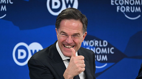 "Grönland-Deal": Trump stoppt Zoll-Umsetzung – Rutte will "Arktis vor Einfluss Russlands schützen"