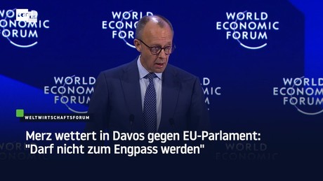 Merz wettert in Davos gegen EU-Parlament: "Darf nicht zum Engpass werden"
